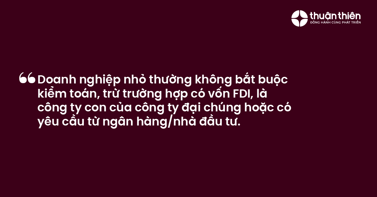 Doanh nghiệp nhỏ thường kh&ocirc;ng bắt buộc kiểm to&aacute;n, trừ trường hợp c&oacute; vốn FDI, l&agrave; c&ocirc;ng ty con của c&ocirc;ng ty đại ch&uacute;ng hoặc c&oacute; y&ecirc;u cầu từ ng&acirc;n h&agrave;ng/nh&agrave; đầu tư.